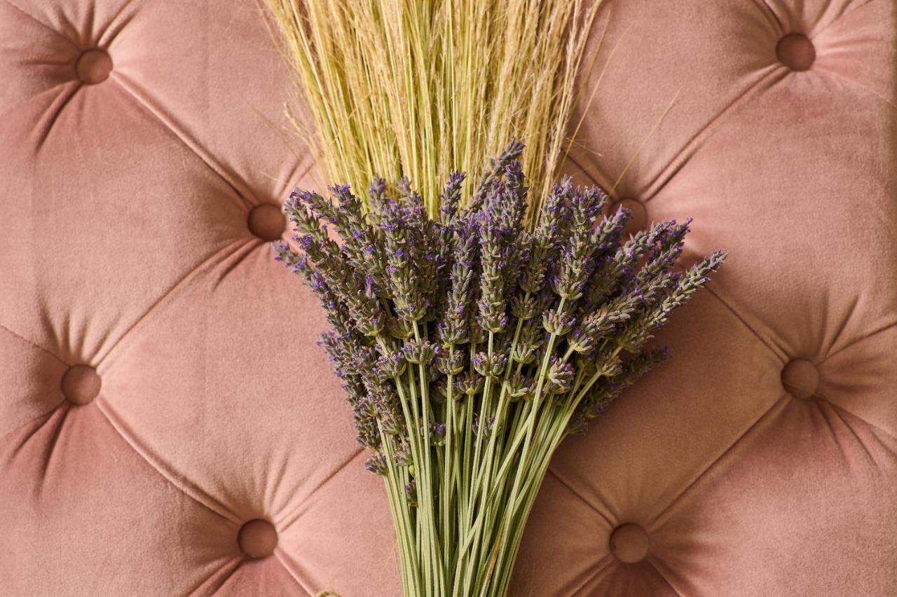 Olive Suite, Guesthouse By Villa Elia Markopoulo Mesogaias Екстер'єр фото